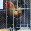 img_0015